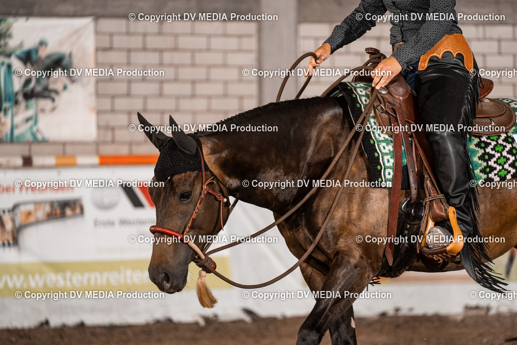 ZH100097 | dv-media-shop - Realisiert mit Pictrs.com