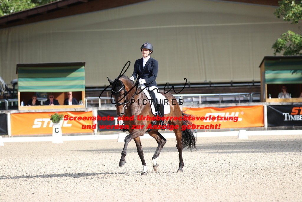 IMG_1066 | lmwpictures - Realisiert mit Pictrs.com