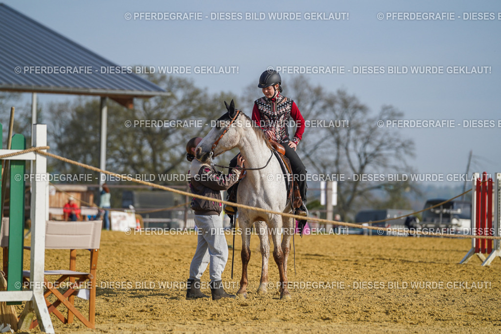 DSC00938 | Pferdegrafie