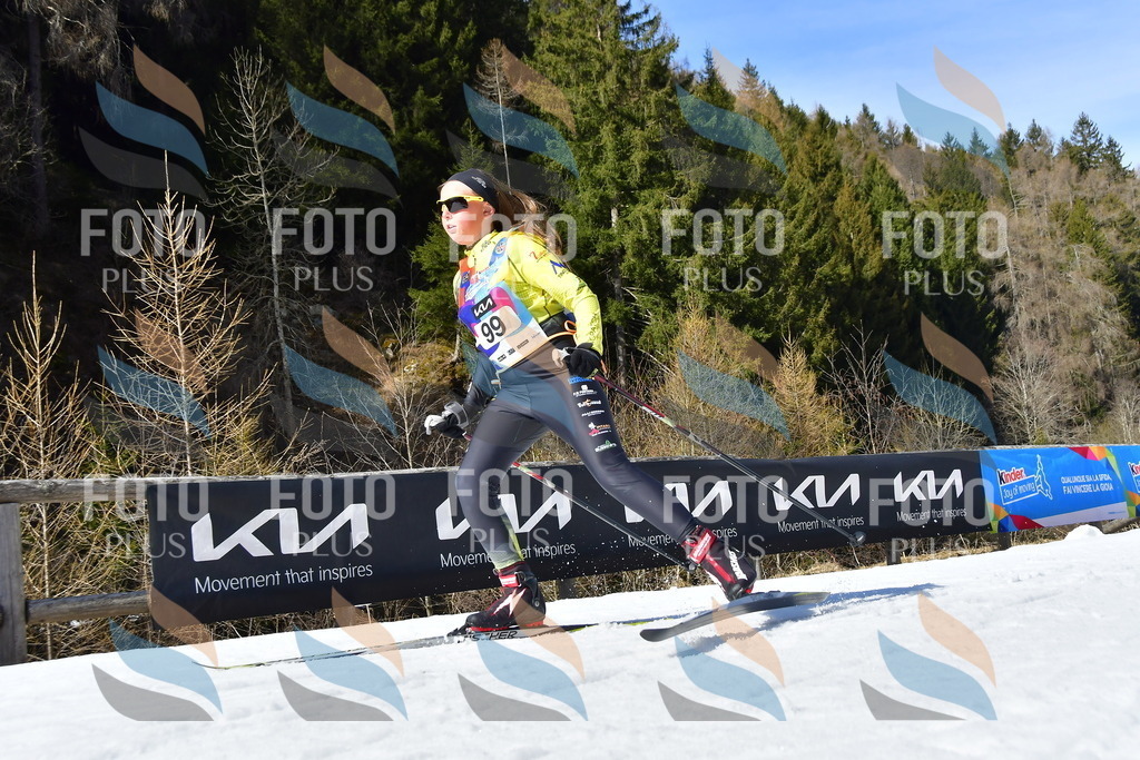 _DSC9585 | holidayphoto