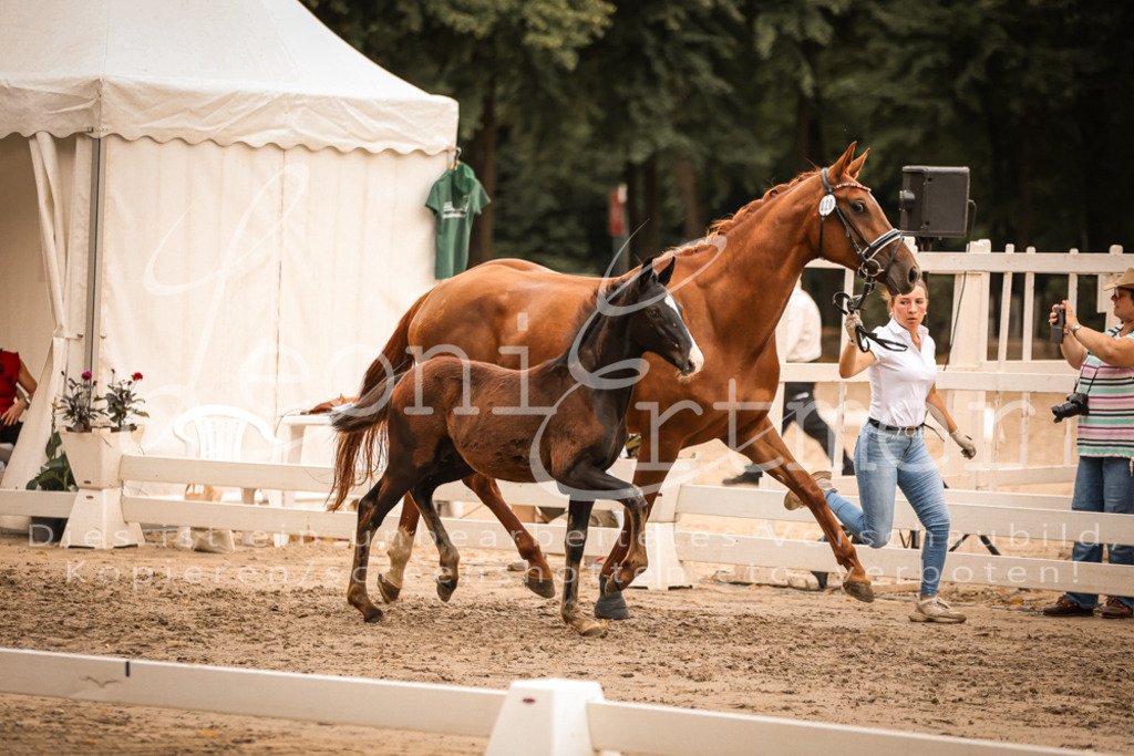 SaPA00295 | Leoni Ertmer Photography - Realisiert mit Pictrs.com