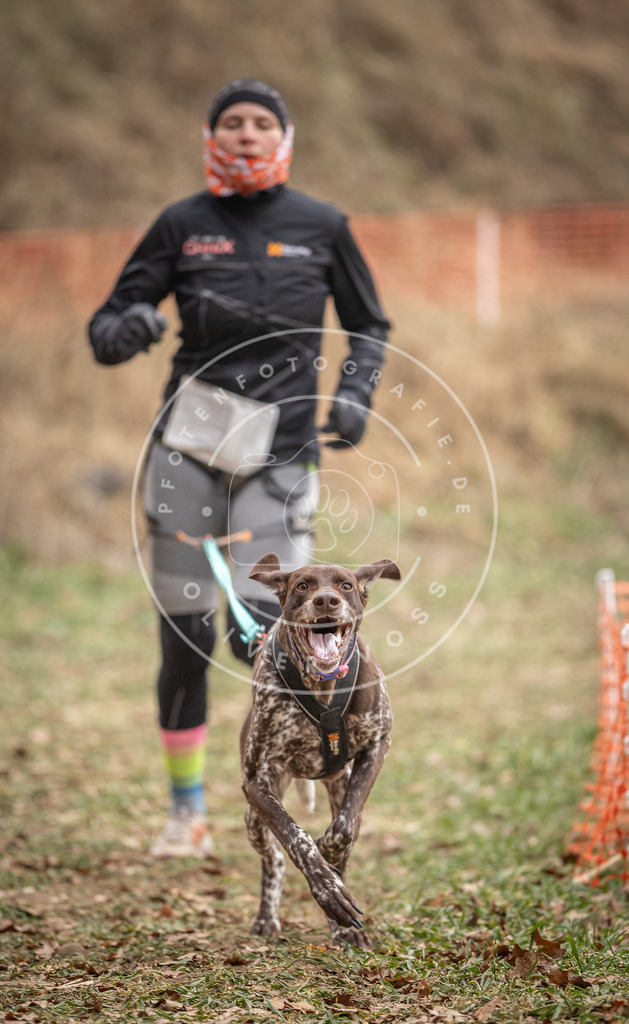 Pfotenfotografie_DV3A7490 | Hundefotografie, Tierfotograf, Pfotenfotografie, Fotoshooting Hund, Hunde Portrait, Hundesport, Hundeportraits, Heideshooting, Hunde, Sportfotograf, Hundefotograf, Turnierhundsport, THS,  - Realisiert mit Pictrs.com