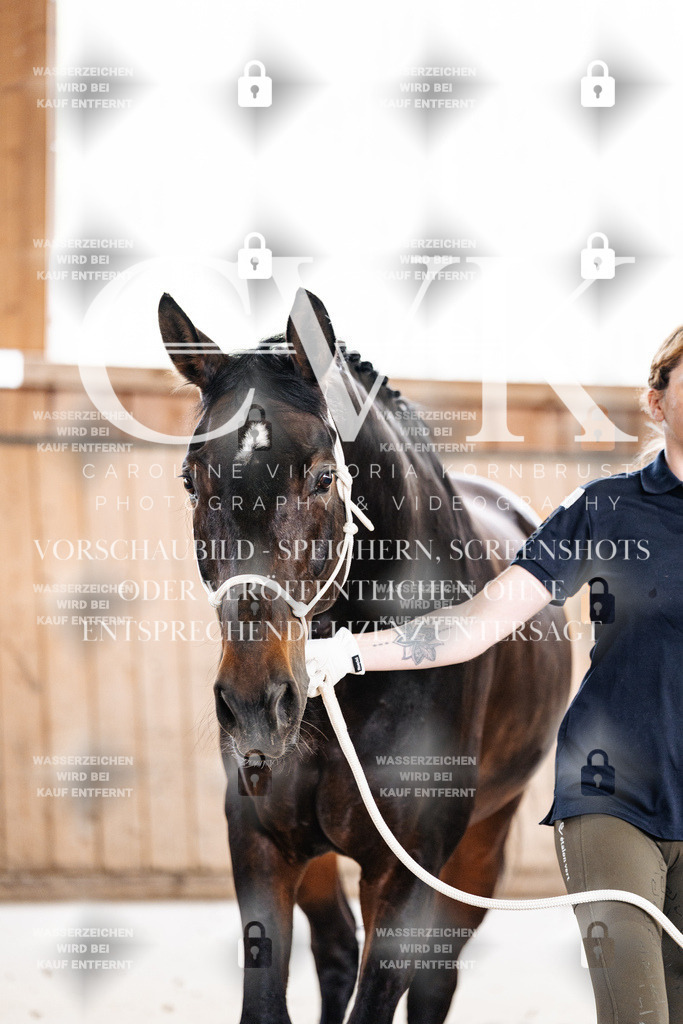CK908109 | Turnierfotografie Pferdefotografie Trier Rheinland-Pfalz Pferdesport Reitsport Tierfotografie Sportfotografie Pferdevideo Pferdevideografie Equestrianvideography equestrianphotography  - Realisiert mit Pictrs.com