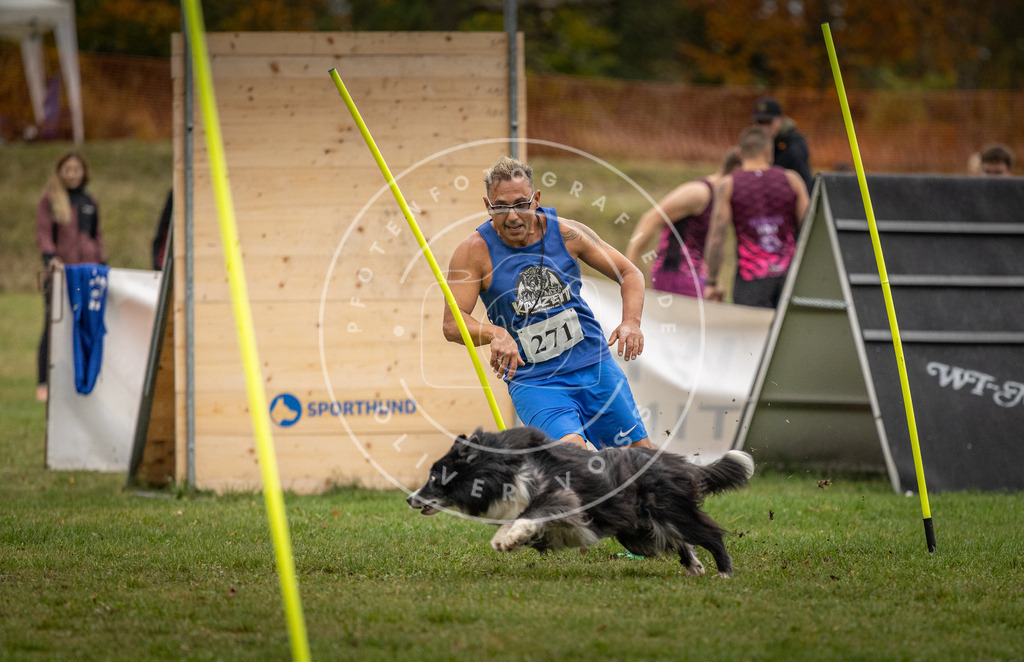 Pfotenfotografie_DV3A9687 | Hundefotografie, Tierfotograf, Pfotenfotografie, Fotoshooting Hund, Hunde Portrait, Hundesport, Hundeportraits, Heideshooting, Hunde, Sportfotograf, Hundefotograf, Turnierhundsport, THS,  - Realisiert mit Pictrs.com