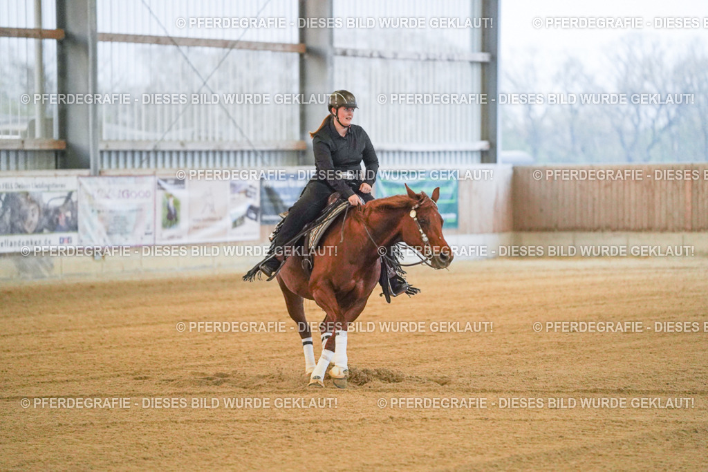 DSC09213 | Pferdegrafie