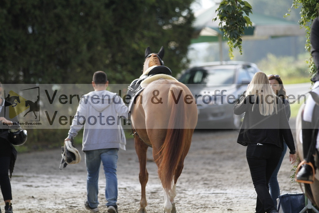 _MG_6299 | equestrian-live-com