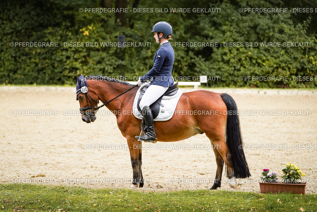 DSC00594 | Pferdegrafie