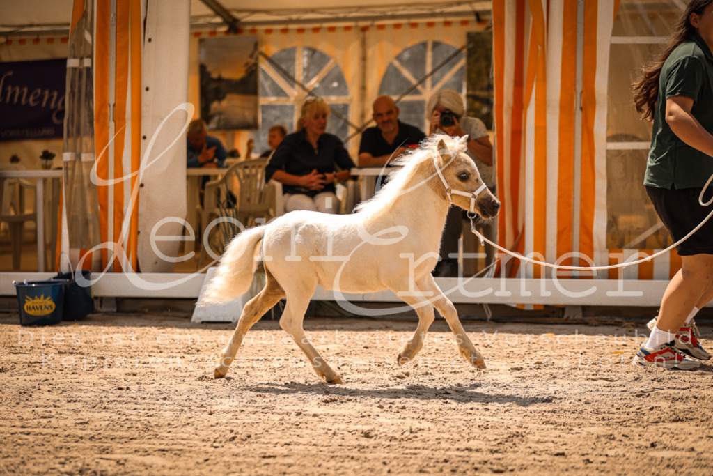 01.DoKR00166 | Leoni Ertmer Photography - Realisiert mit Pictrs.com