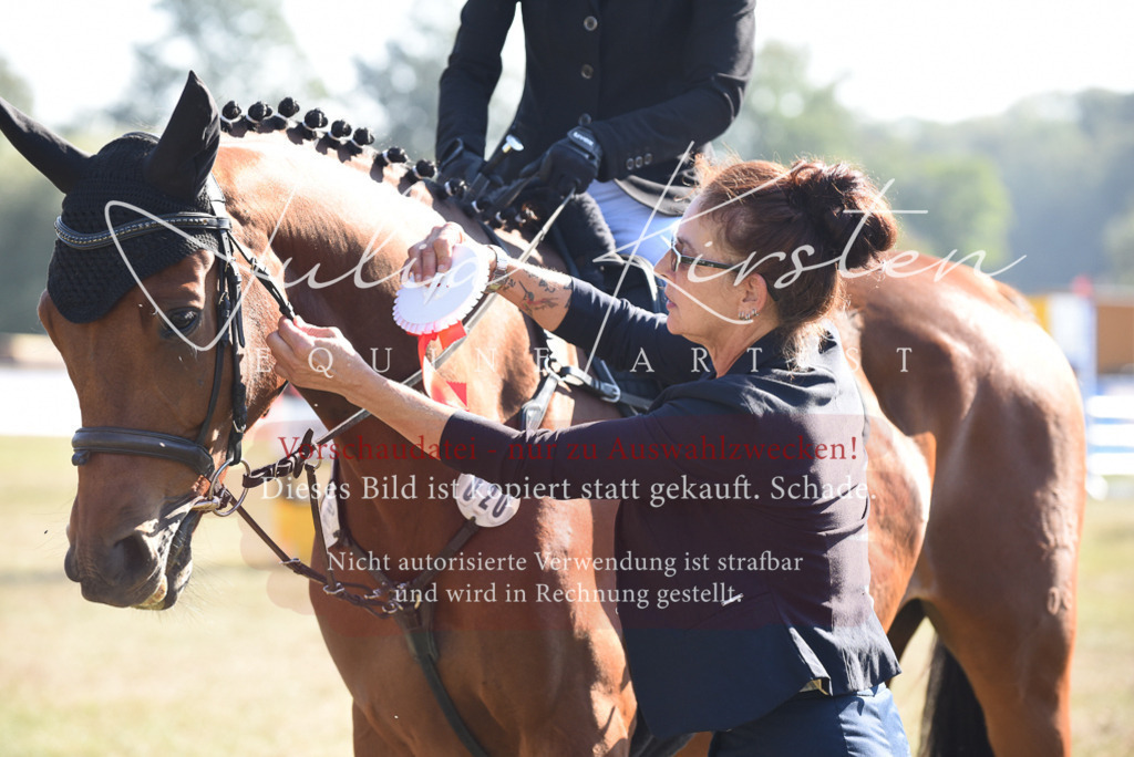 DSC_5471 | Pferde- und Turnierfotografie in Westsachsen. Pferdeportraits, Auftragszeichnungen und intuitive Kunst.