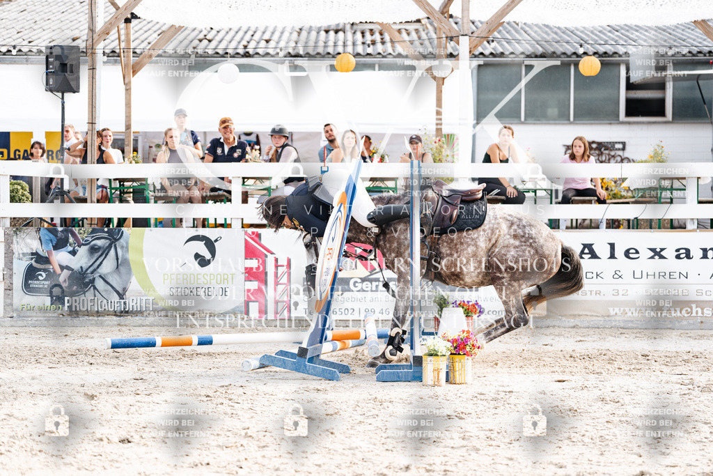 CK907033 | Turnierfotografie Pferdefotografie Trier Rheinland-Pfalz Pferdesport Reitsport Tierfotografie Sportfotografie Pferdevideo Pferdevideografie Equestrianvideography equestrianphotography  - Realisiert mit Pictrs.com