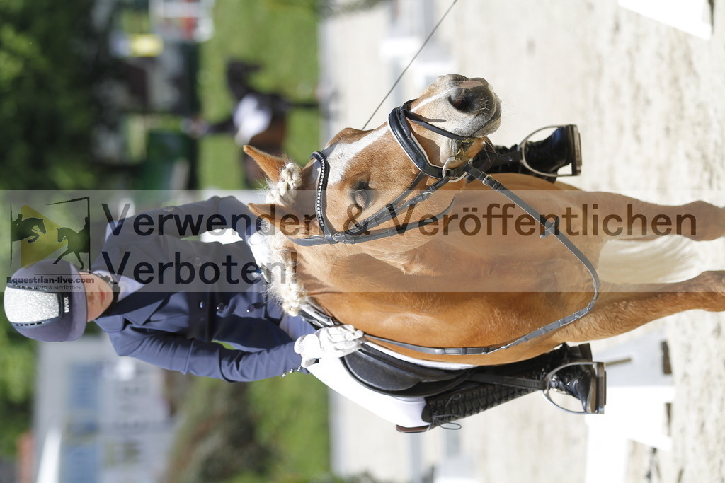 _MG_5143 | equestrian-live-com