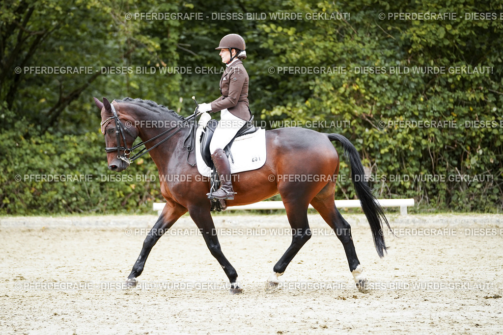 DSC00953 | Pferdegrafie