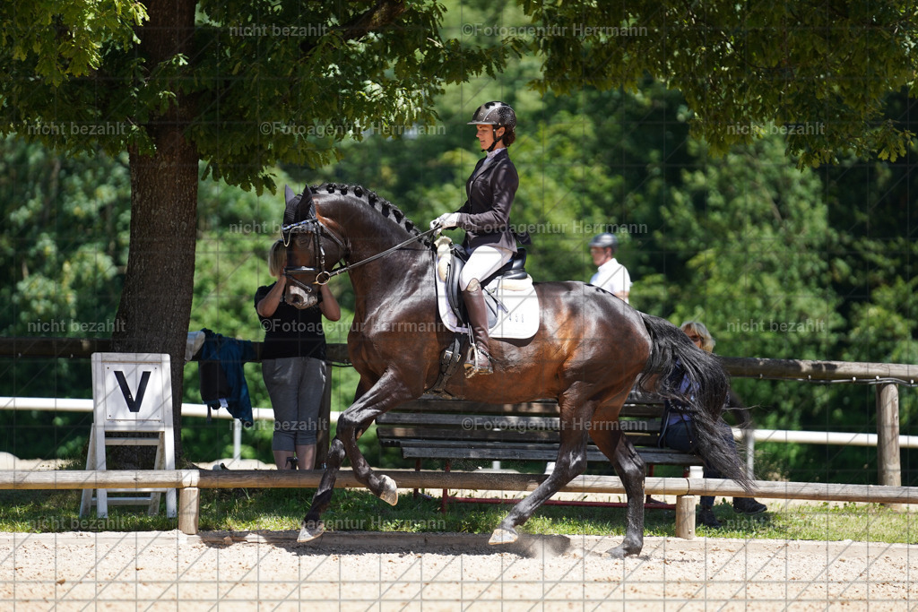 20240705-FAH03655 | Turnierbilder von Grafing, Reitsportbilder, Turnierfotos, Turnierfotografen Bayern, Pferdefotograf, Fotoagentur Herrmann