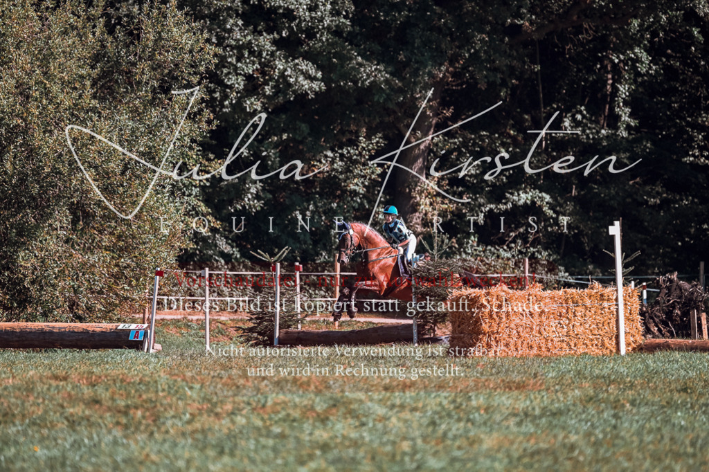 DSC_0821 | Pferde- und Turnierfotografie in Westsachsen. Pferdeportraits, Auftragszeichnungen und intuitive Kunst.