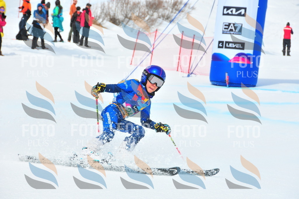 DSC_2231 | holidayphoto