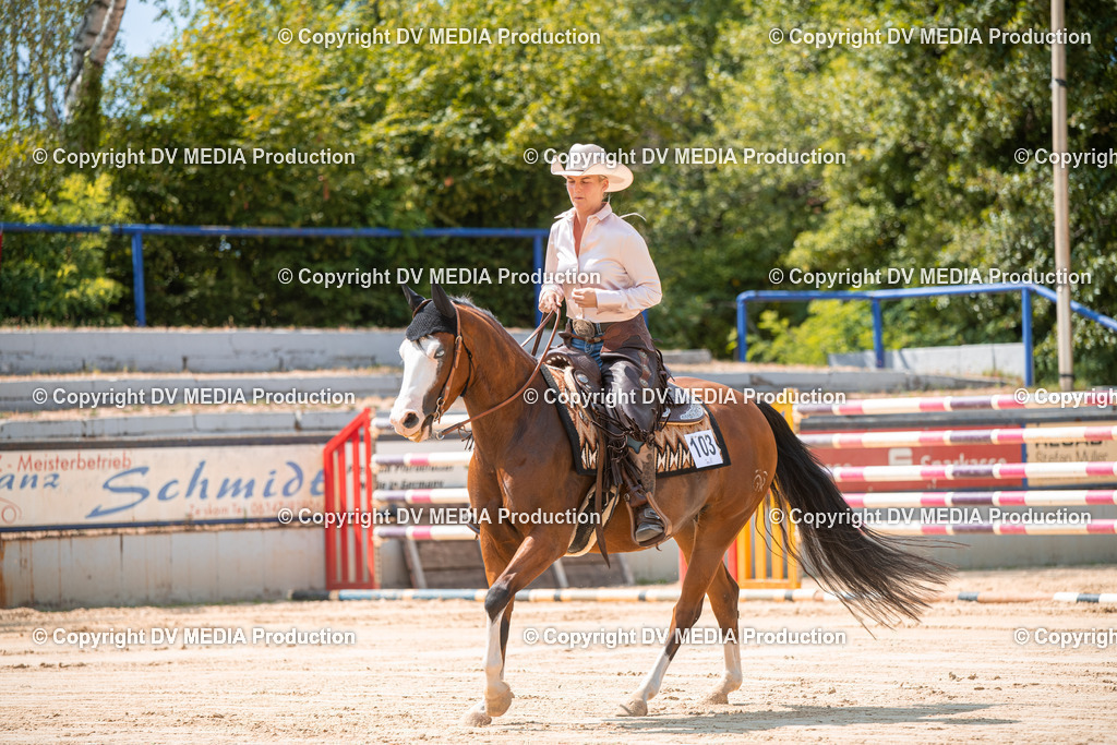 ZS2_8281 | dv-media-shop - Realisiert mit Pictrs.com