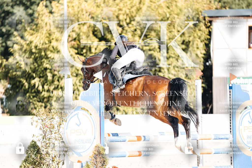 CK909234 | Turnierfotografie Pferdefotografie Trier Rheinland-Pfalz Pferdesport Reitsport Tierfotografie Sportfotografie Pferdevideo Pferdevideografie Equestrianvideography equestrianphotography  - Realisiert mit Pictrs.com