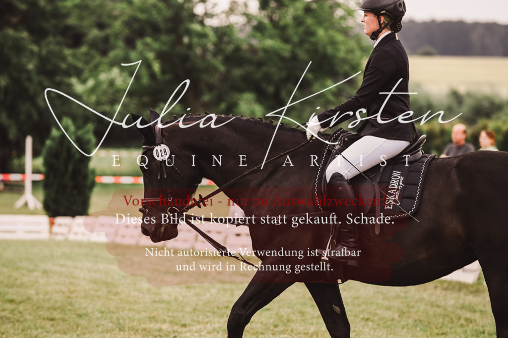 DSC_5117 | Pferde- und Turnierfotografie in Westsachsen. Pferdeportraits, Auftragszeichnungen und intuitive Kunst.