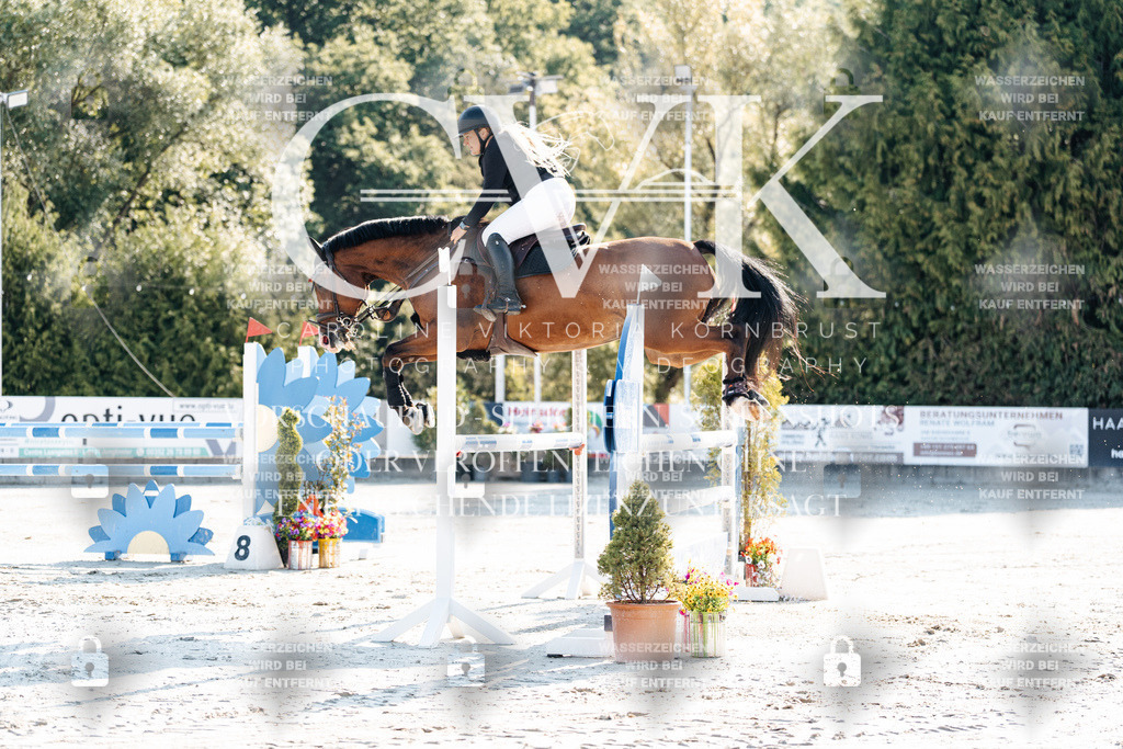 CK901628 | Turnierfotografie Pferdefotografie Trier Rheinland-Pfalz Pferdesport Reitsport Tierfotografie Sportfotografie Pferdevideo Pferdevideografie Equestrianvideography equestrianphotography  - Realisiert mit Pictrs.com