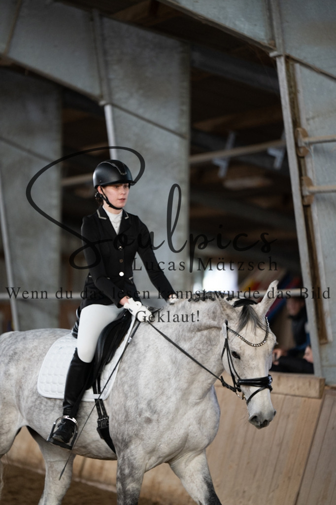 A7V04802 | Pferdefotograf