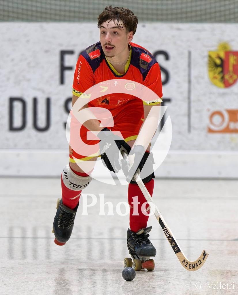 DSC_3742 | Velletri Photo