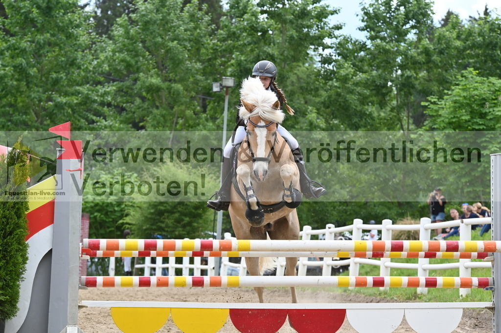 DSC_8487 | equestrian-live-com