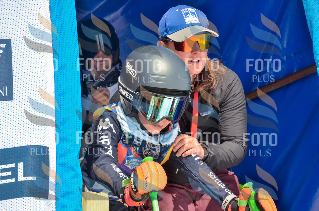 _ELE7042 | holidayphoto