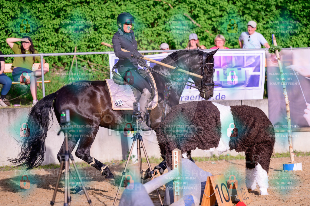 02052026-Giesenbach-03-Speedtrail-0680 | Fokus Hufschlag Fotografie - Realisiert mit Pictrs.com