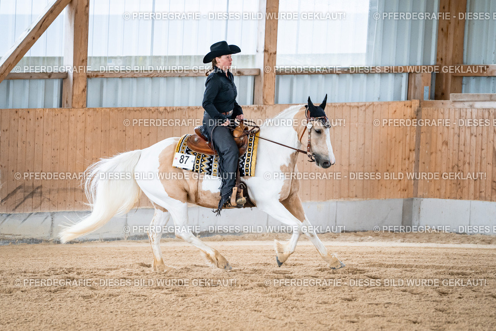 DSC02104 | Pferdegrafie