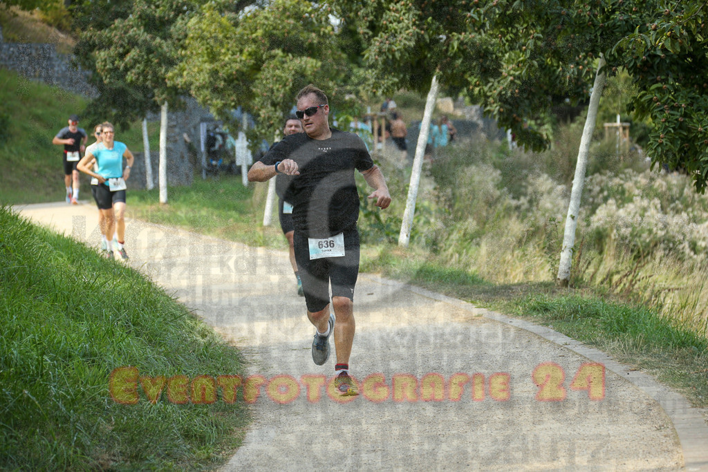 250824_1441_EX1_7158 | Sportfotografie im Rhein-Sieg Kreis, Köln, Bonn, NRW, Rheinland Pfalz, Hessen, etc. Unser Tätigkeitsfeld umfasst den Laufsport vom Volkslauf über den Marathon, Duathlon, Triathon bis zum Ultralauf wie Kölnpfad Ultra oder Schindertrail.