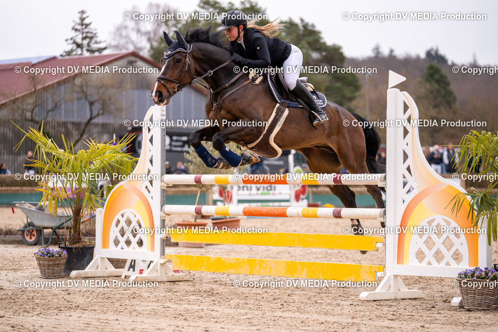 Kranichstein Tag 2-297 | dv-media-shop - Realisiert mit Pictrs.com