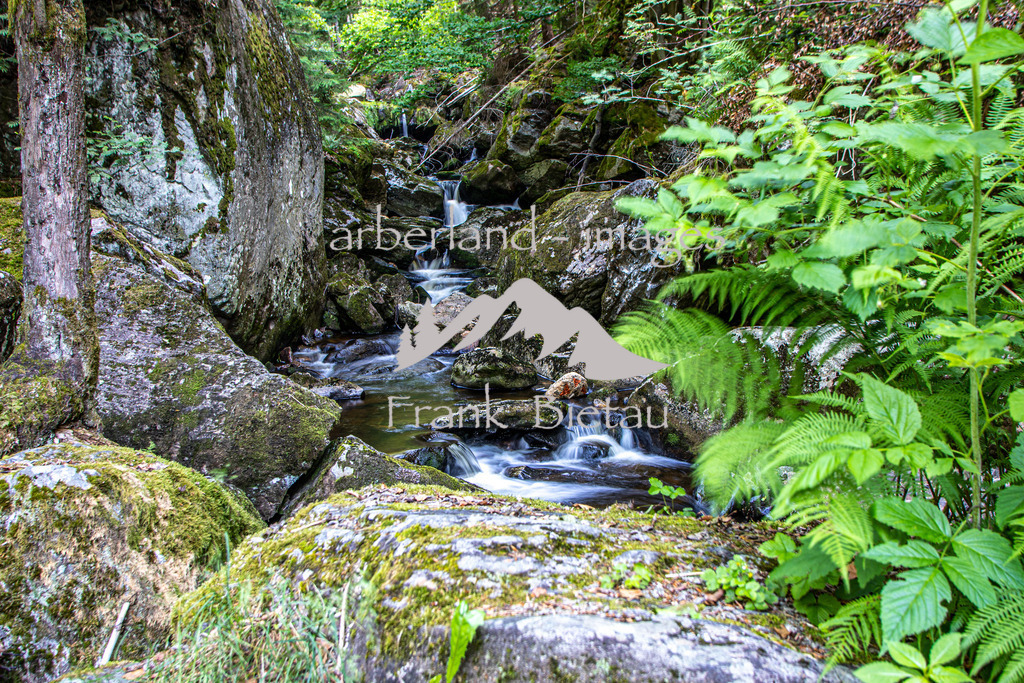 OE7A5238 | wildes Wasser und wilder Wald, mitten im Bayerischen Wald. Die Felsenschlucht wird oft auch als Naturjuwel bezeichnet und ist das Ziel vieler Wanderer.