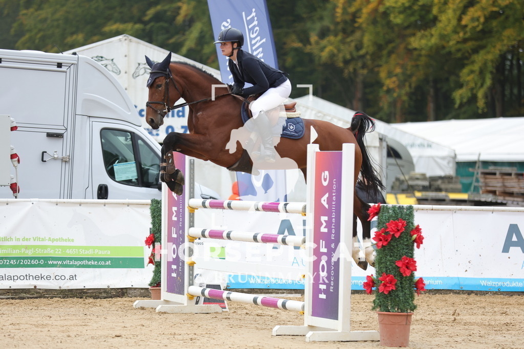 0P6A6758 | Willkommen bei Brunnmayr - Design & Fotografie – Ihrem Spezialisten für Reitturniere und Pferdeveranstaltungen in Oberösterreich, Salzburg und Bayern! Seit über 17 Jahren sind wir leidenschaftlich dabei.