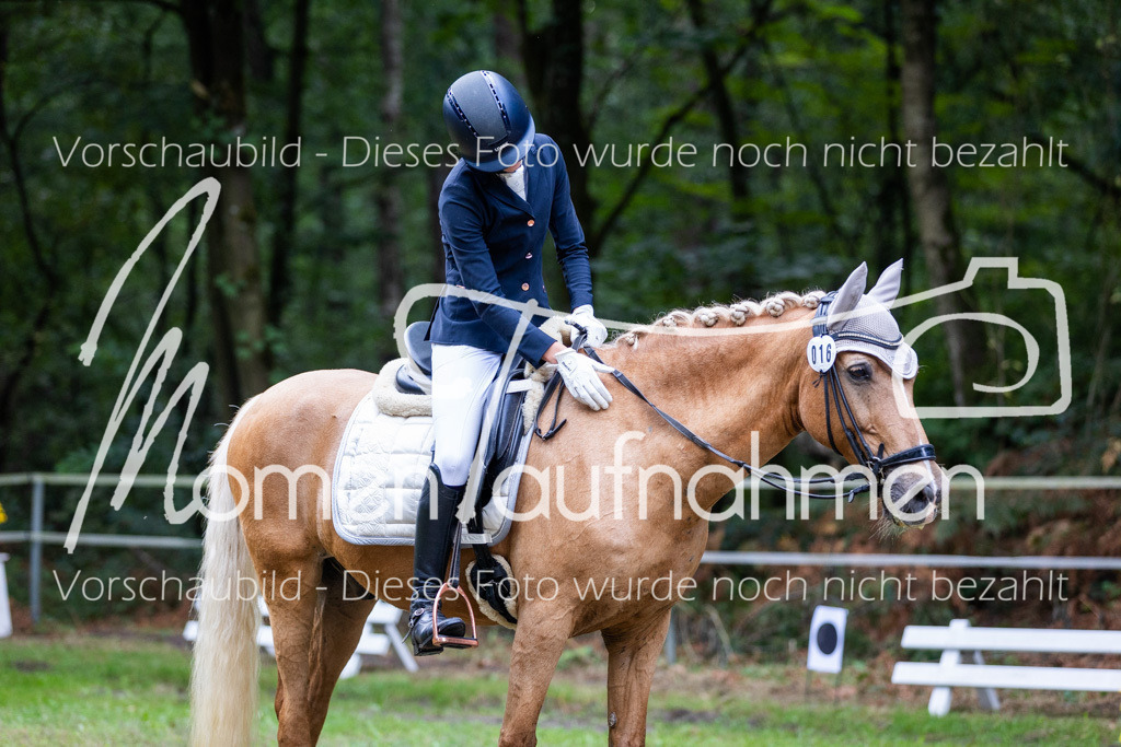 HB-A-Dressur-035 | MomenTaufnahmen Pferdesportfotos