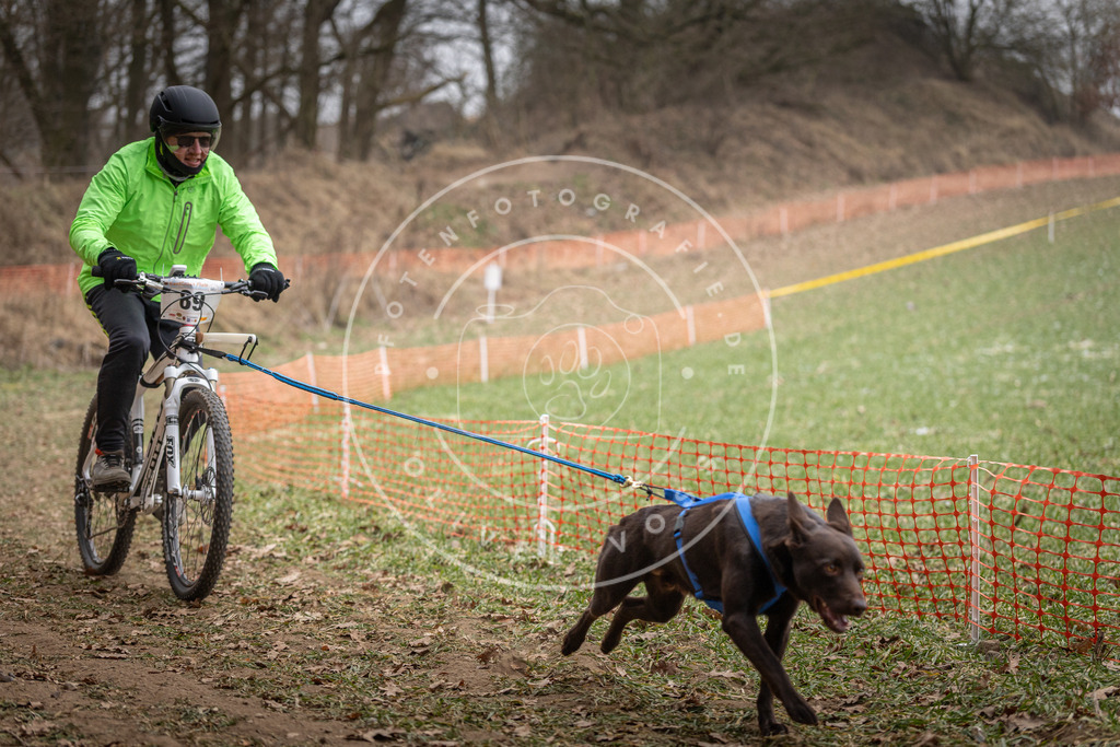 Pfotenfotografie_DV3A6308 | Hundefotografie, Tierfotograf, Pfotenfotografie, Fotoshooting Hund, Hunde Portrait, Hundesport, Hundeportraits, Heideshooting, Hunde, Sportfotograf, Hundefotograf, Turnierhundsport, THS,  - Realisiert mit Pictrs.com