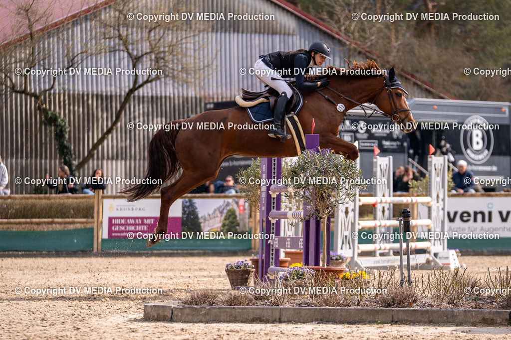 Kranichstein Tag 2-1979 | dv-media-shop - Realisiert mit Pictrs.com