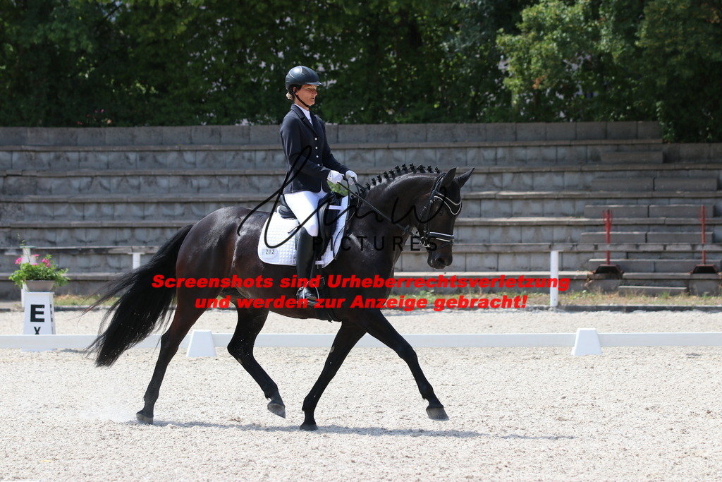 IMG_4762 | lmwpictures - Realisiert mit Pictrs.com