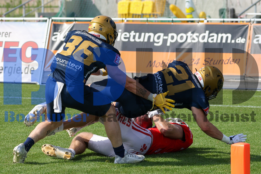 GFL: Potsdam Royals vs. Dresden Monarchs{date} -  | {headline}(Foto: Thomas Sobotzki / BOND) - Realisiert mit Pictrs.com