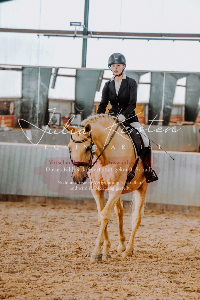 DSC_7677 | Pferde- und Turnierfotografie in Westsachsen. Pferdeportraits, Auftragszeichnungen und intuitive Kunst.