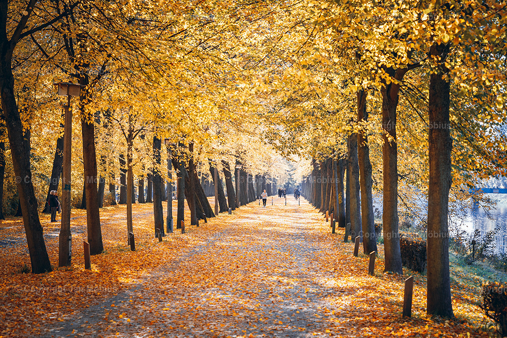 _DSC7440 | Leipzig Wandbilder Drucke Prints Leinwand Stadtmotive Leipzig Fotosdruck Kunstdrucke Bilder Leipzig Stadtansichten Acrylglasbilder Leipzig Wanddeko Fine Art Prints Wandbilder Büro Leipzig Bilder Praxis Zuhause Bilderdruck Poster Posterlounge Kunstdrucke - Realisiert mit Pictrs.com