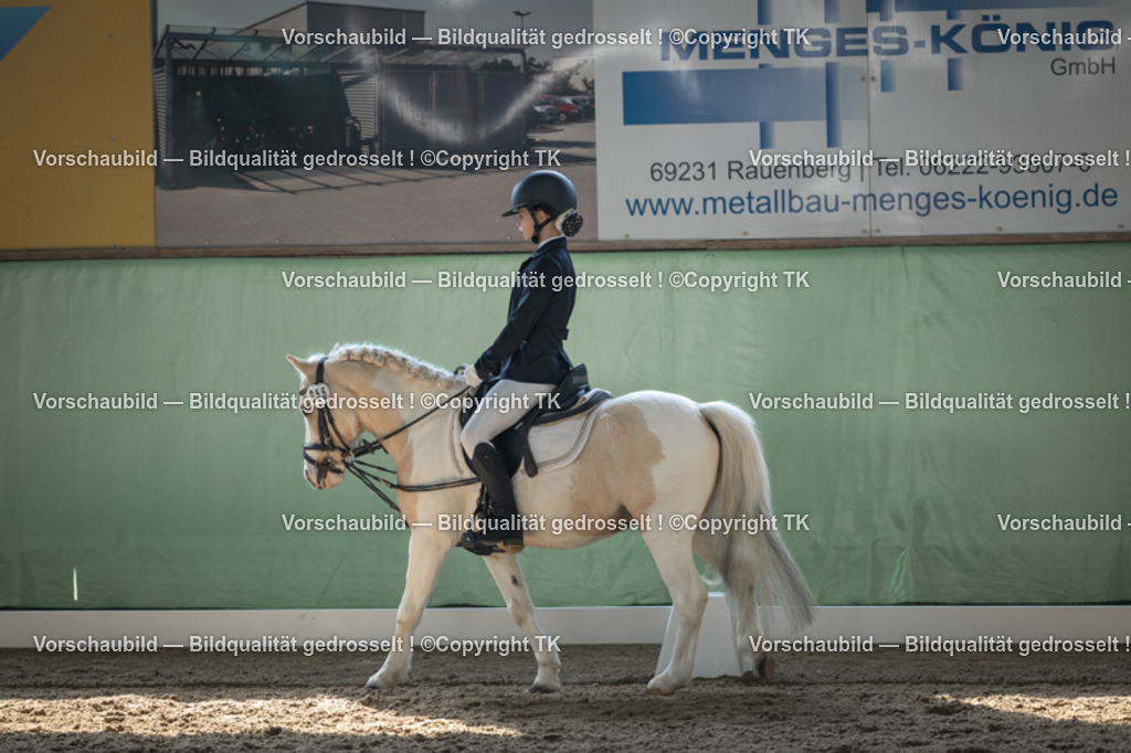 _D5A8678 | Emotionale Pferde- & People-Fotografie rund um Heidelberg, Leimen & Umgebung. Natürliche Fotos von Pferd, Mensch & Familie. Jetzt Termin sichern!