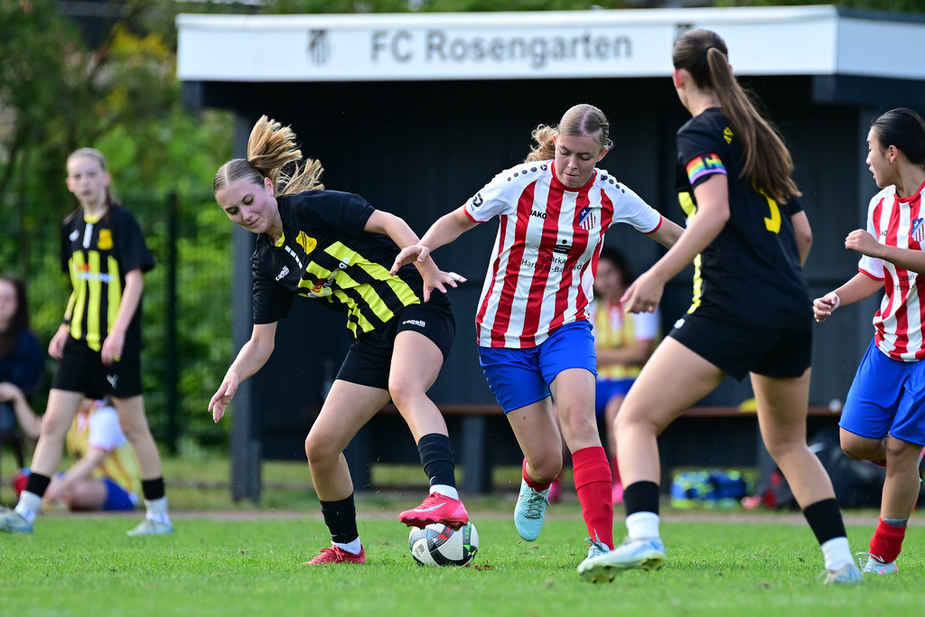 Fußball I Juniorinnen I Saison 2025-2026 I Oberliga Niedersachsen I 2. Spieltag I FC Rosengarten - ATSV Scharmbeckstotel | Der Sportfotograf. - Realisiert mit Pictrs.com