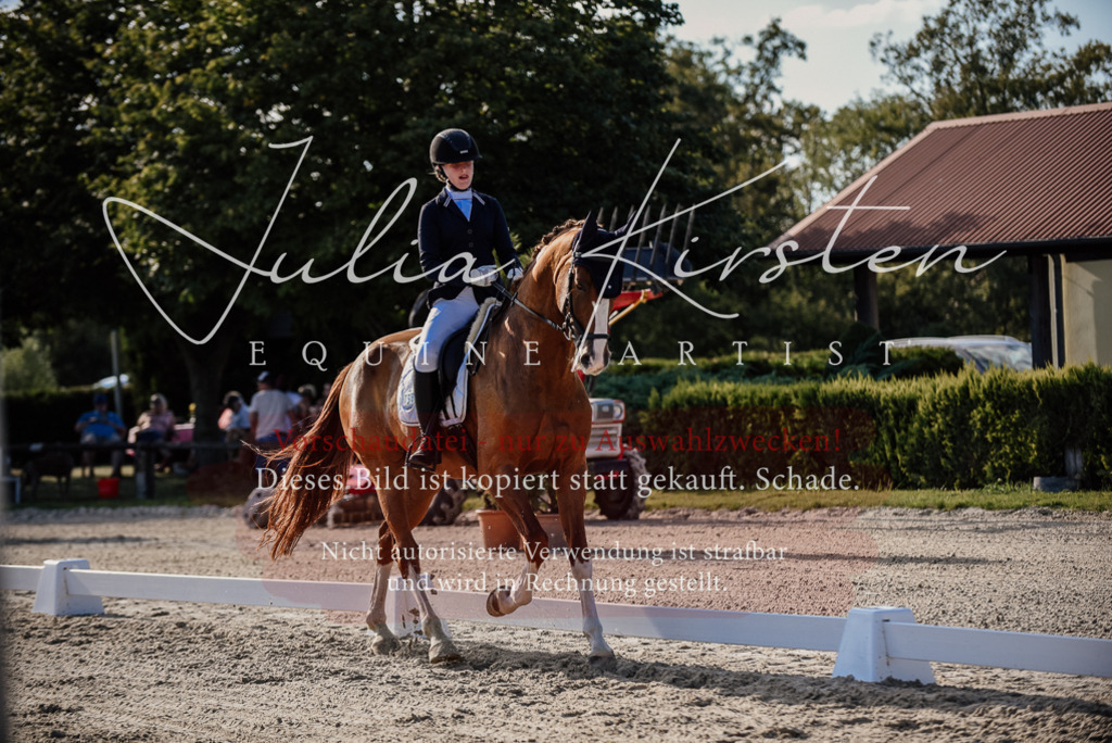 DSC_0533 | Pferde- und Turnierfotografie in Westsachsen. Pferdeportraits, Auftragszeichnungen und intuitive Kunst.