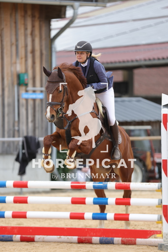 0P6A8049 | Willkommen bei Brunnmayr - Design & Fotografie – Ihrem Spezialisten für Reitturniere und Pferdeveranstaltungen in Oberösterreich, Salzburg und Bayern! Seit über 17 Jahren sind wir leidenschaftlich dabei.