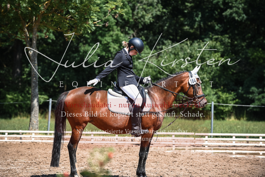 DSC_3076 | Pferde- und Turnierfotografie in Westsachsen. Pferdeportraits, Auftragszeichnungen und intuitive Kunst.