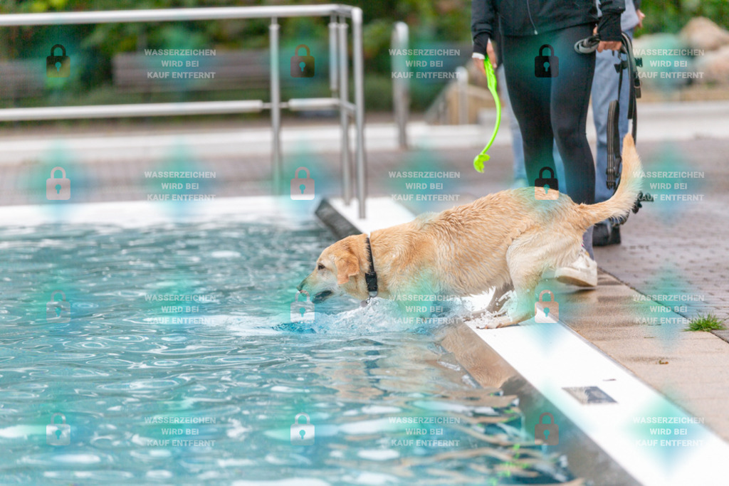 _HP_7132_1000o | HetPix, HetPix Fotodesign, Fotografie, Fotodesign, Webshop, Sportfotografie, Portraitfotografie, Onlineshop, Sportfotografie, Polch, Motorsportfotografie, Eventfotografie