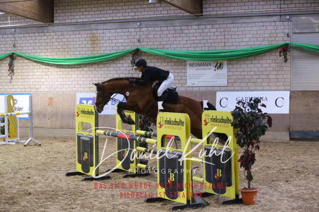 IMG_0898 | Turnierfotos kaufen im Webshop von Daniel Kuhl Photography – entdecke professionelle Reitsportfotos aus Turnieren & Events. Hochwertige Turnierbilder online bestellen & sichern. Jetzt Fotos von Reitsportturnieren kaufen!