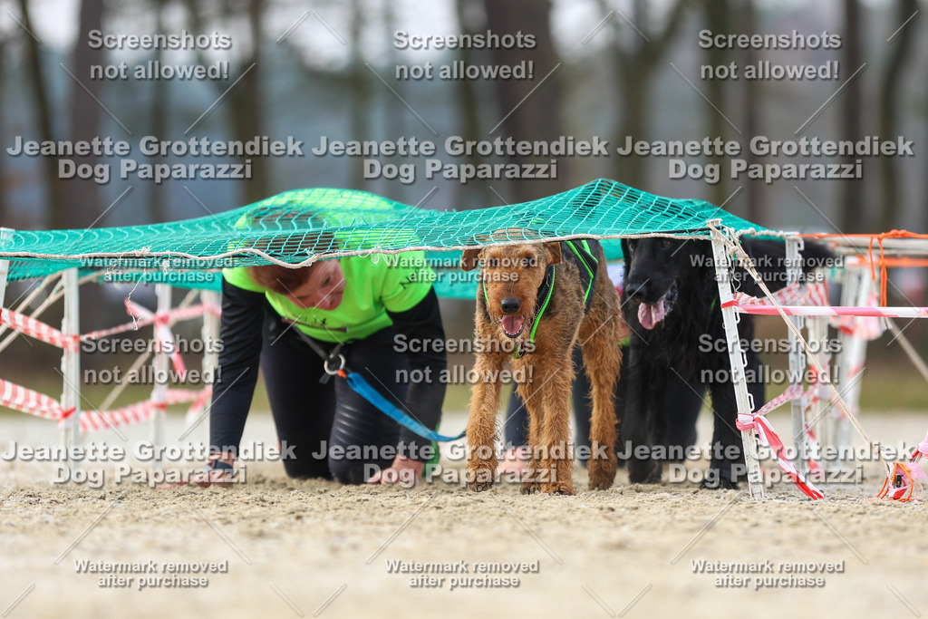 Dog Paparazzi - Strongdog North Mrz26-4225 | Dog Paparazzi Jeanette Grottendiek Fotografie & Videografie - Realisiert mit Pictrs.com