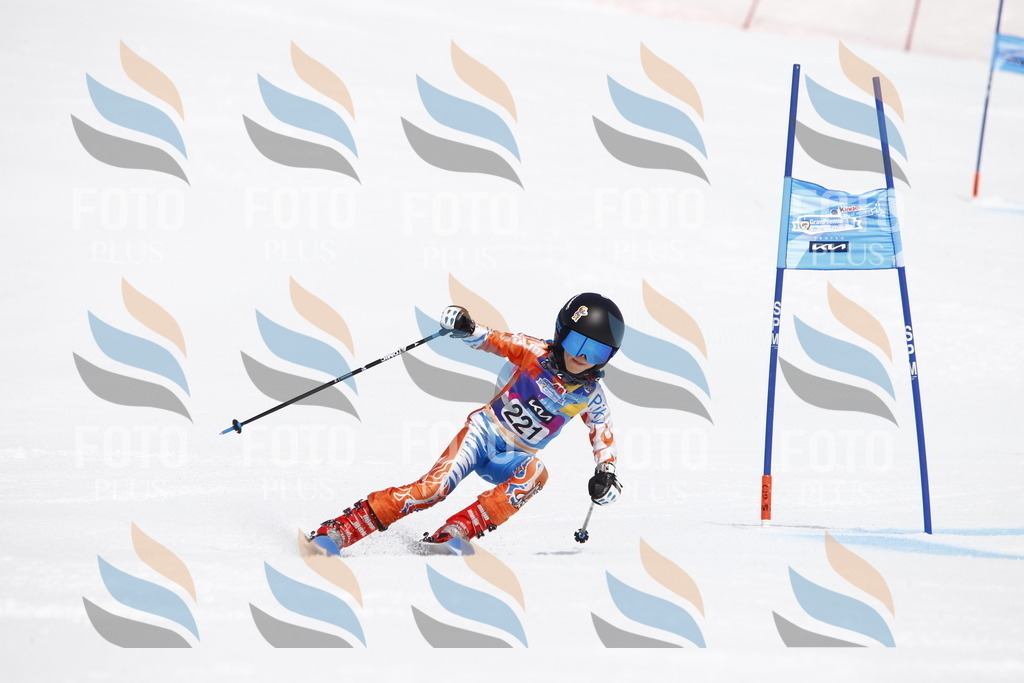 _U3G5696 | holidayphoto