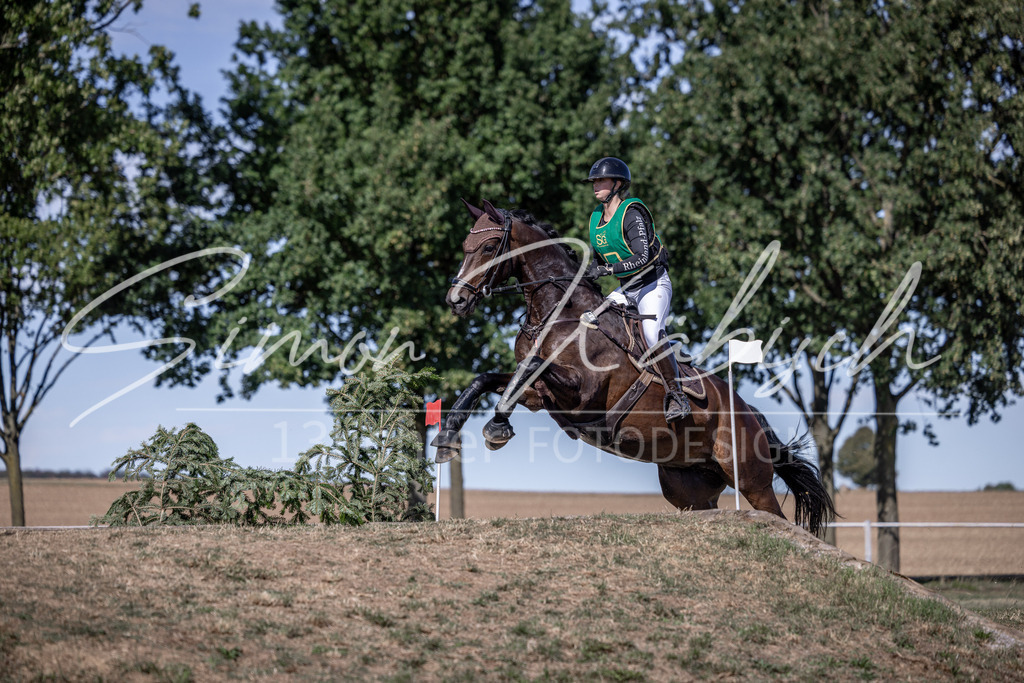 20260906-_3LI5683 | Tierfotografie Pferde, Hunde, Katzen, Haustiere.
Turnierfotografie Reitturniere, Reiten, Springreiten, Dressur in Hanau, dem Main-Kinzig-Kreis und dem Rhein-Main- Gebiet um Frankfurt
